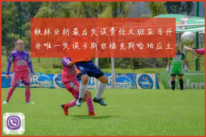 铁林分析最后失误责任文班亚马并非唯一失误卡斯尔福克斯哈珀应主动接球