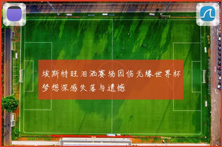 埃斯特旺泪洒赛场因伤无缘世界杯梦想深感失落与遗憾